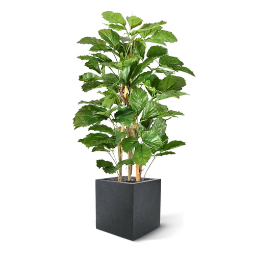 Maxifleur Tetrastigma kunstplant 120cm
