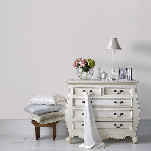 Graham & Brown Ballet Pumps - Zijdeglanslak - 1L - vtwonen shop