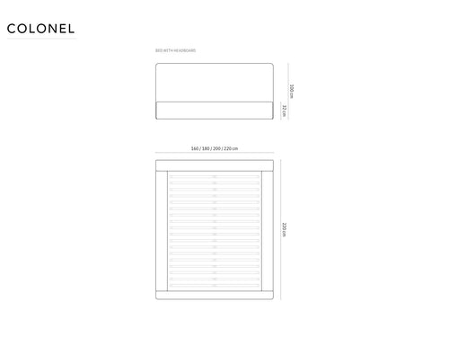 Cosmopolitan Design Opbergbed met hoofdeinde Colonel 140x200cm, flueel, donkergrijs - 220x160x100cm
