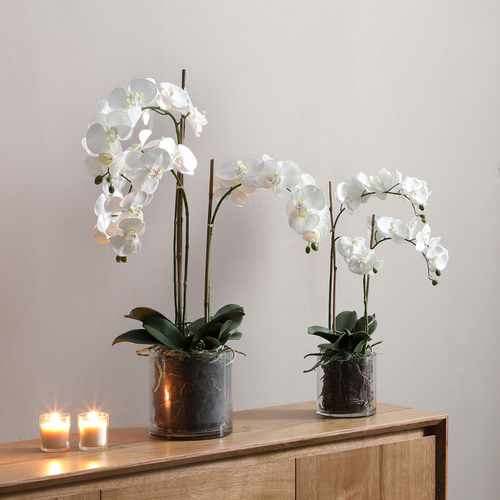 Sia Deco Orchidee Compositie Met Vaas - wit - transparant - H60 - vtwonen shop