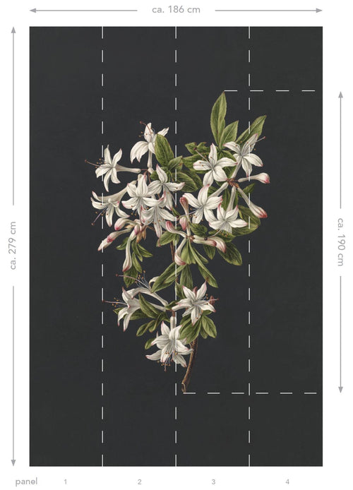 ESTAhome fotobehang bloesemtak licht roze en zwart - 186 x 279 cm - 158885 - vtwonen shop