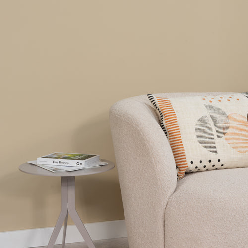 Spinder x Eva van de Ven 2,5L matte muurverf - Thomas