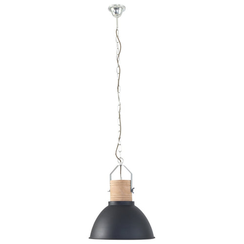 Mexlite hanglamp emile - 1 lichts - 38x 130 cm - zwart - vtwonen shop