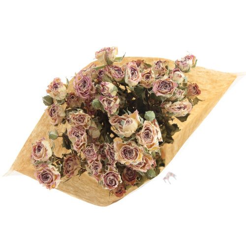 My Flowers.shop Tien gedroogde wit-roze trosrozen | Lengte 50 centimeter | Per bos te bestellen - vtwonen shop