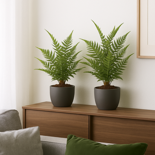 Flourify - Kunstplant - Varen - 38 cm - Bundel van 2 - vtwonen shop