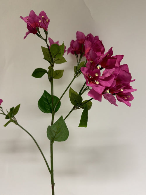 My Flowers.shop Roze bougainvillea zijden bloem | Lengte 91 centimeter | Per stuk - vtwonen shop