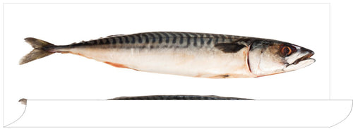 ESTAhome muursticker vissen grijs - 97 x 48.5 cm - 159040