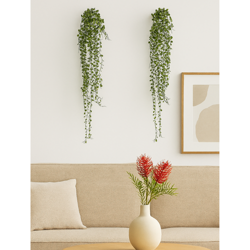 Flourify - Kunstplant - Muehlenbeckia - 80 cm - Bundel van 3