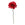 Sia Deco Gerbera Steel Kunstmatig - donkerrood - H59