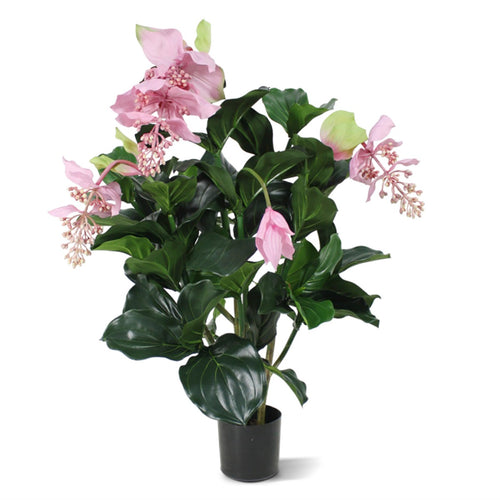 Maxifleur Medinella deluxe kunstplant 100cm
