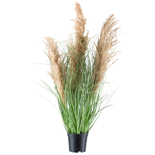 Flourify kunstplant - Schilfgras - 75 cm - vtwonen shop