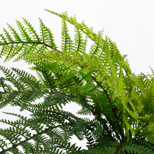 Mica Decorations Varen Kunstplant in Bloempot Stan - H38 x Ø50 cm - Groen - vtwonen shop