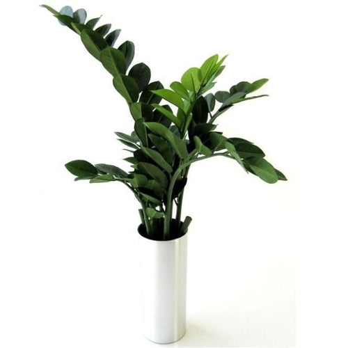 Maxifleur Zamioculcas kunstplant 65cm