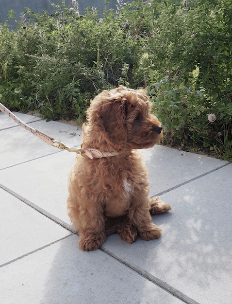 OYOY Halsband Perry - leder - vtwonen shop