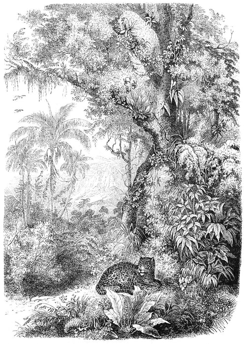 ESTAhome fotobehang jungle-motief zwart wit - 200 x 279 cm - 158945
