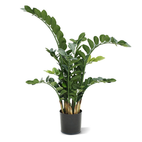 Maxifleur Zamioculcas kunstplant 100cm