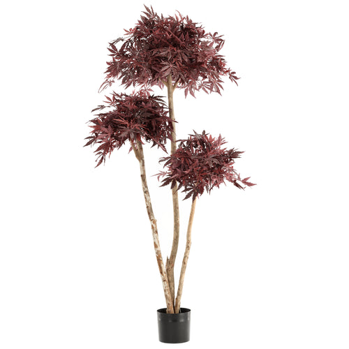 Maxifleur Japanse Kunst Acer Bonsai Deluxe 180cm Burgundy