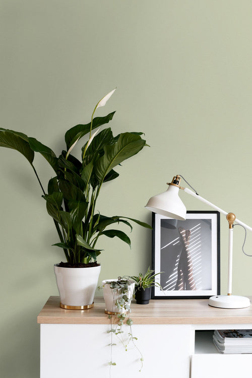 ESTAhome muurverf mat  licht vergrijsd groen - 2 l / ca. 18 m² - 191020
