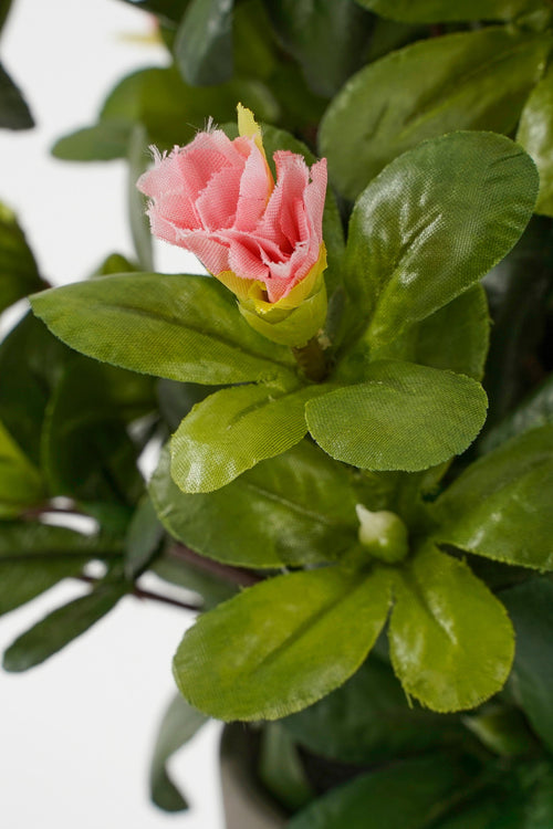 Mica Decorations Azalea Kunstplant in Bloempot Stan - H31 x Ø26 cm - Perzik