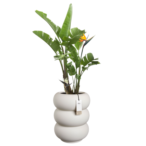 elho amber roll high 43 linnen wit | Bloempot |Premium statementdesign