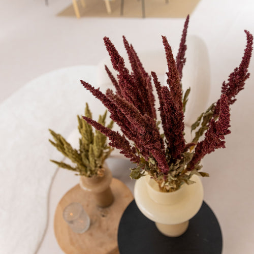 My Flowers.shop Rode Amaranthus Cruentus | Kattenstaart droogbloemen | Lengte 55 centimeter | Per bos - vtwonen shop