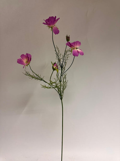 My Flowers.shop Roze cosmea zijden bloem | Lengte  90 centimeter | Per stuk - vtwonen shop