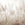 Sanders & Sanders fotobehang jungle-motief grijs - 375 x 270 cm - 601440