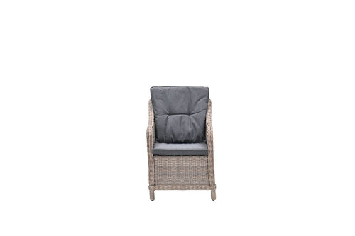 Milwaukee dining fauteuil - vintage willow - mystic grey - vtwonen shop