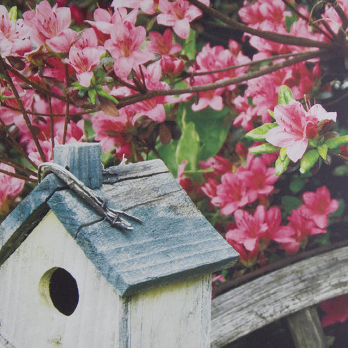 Art for the Home Buitencanvas - Vogelhuisje - 50x50cm