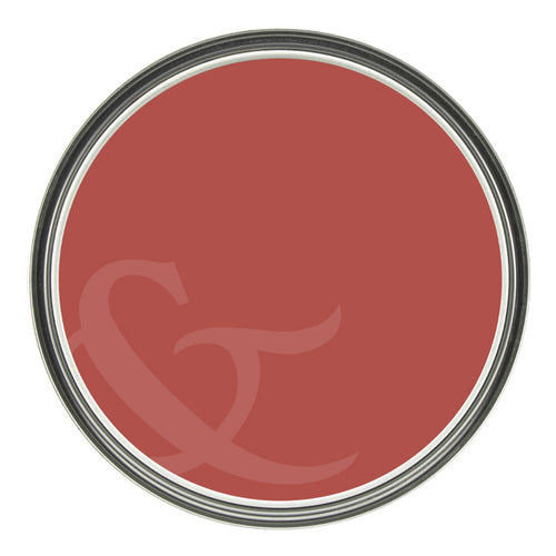 Graham & Brown King of Paradise - Matte Muurverf Afneembaar - 4L - vtwonen shop