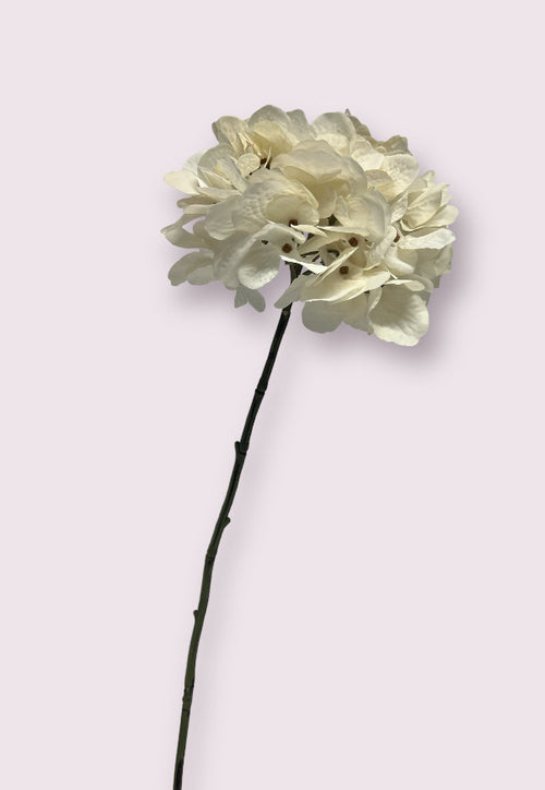 My Flowers.shop Witte hortensia zijden bloem | Lengte 63 centimeter | Per stuk - vtwonen shop