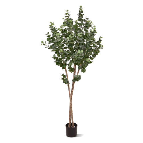 Maxifleur Eucalyptus Kunstboom op stam 170cm