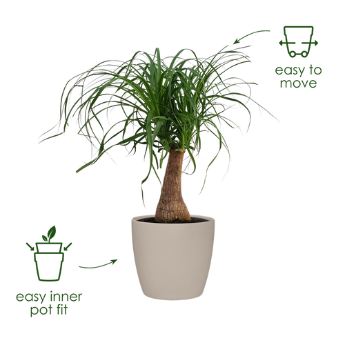 elho brussels rond wielen 47 pad beige | Bloempot | Geschikt voor binnen