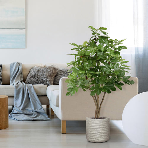Maxifleur Vijgen kunstboom 120cm