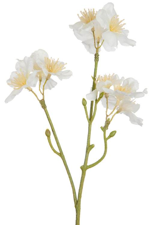 J-Line bloem Kersenboom - kunststof - wit/lichtgeel - small - 36 stuks - vtwonen shop