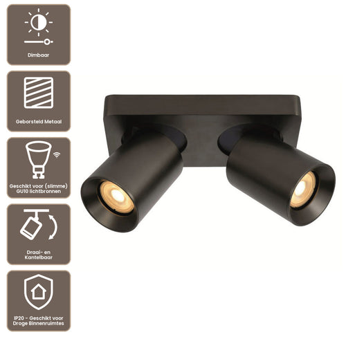 Artdelight Plafondlamp Megano 2L - Gun Metal