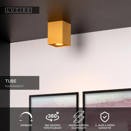 Lucide plafondspot TUBE - 1xGU10 - Mat Goud / Messing