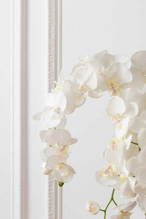 J-Line plant Orchidee In Aarde - kunststof - wit/groen - extra large