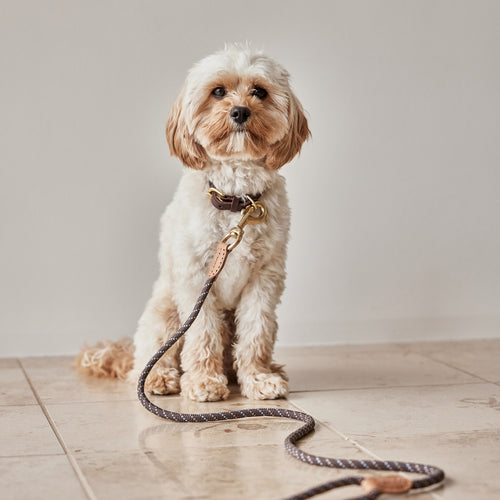 OYOY Hondenriem 160 cm – Beige leer