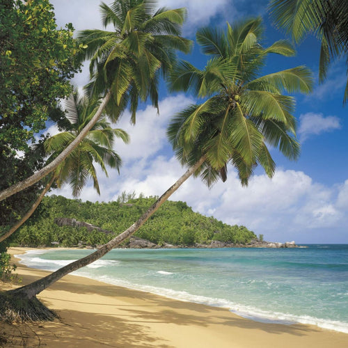 Sanders & Sanders fotobehang strand groen en blauw - 368 x 254 cm - 612202
