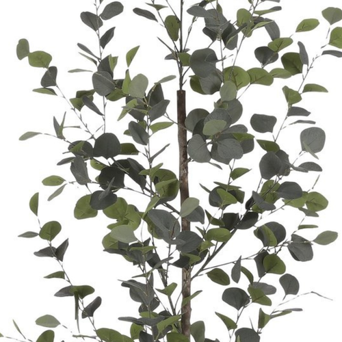 Mica Decorations Eucalyptus Kunstplant H150 x Ø30 cm - Kunstplant in Pot - Onderhoudsvrije Kamerplant voor Binnen - Natuurlijke Uitstraling -