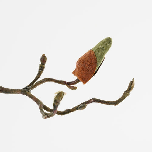 Mica Decorations Magnolia Kunstbloem - H88 cm - Roze