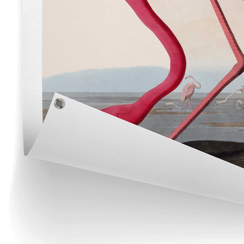 Reinders tuinposter Flamingo - 80x60cm