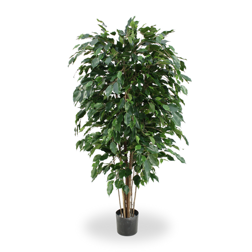 Maxifleur Ficus Exotica deluxe kunstplant 150cm - groen - FR - brandvertragend