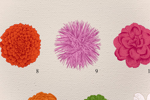 Canvas 60x40 Bloemen afdruk