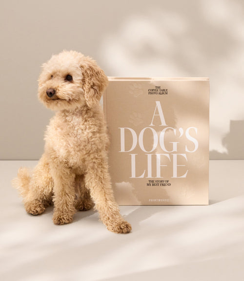 Printworks Fotoalbum Hond - A Dog's Life - vtwonen shop