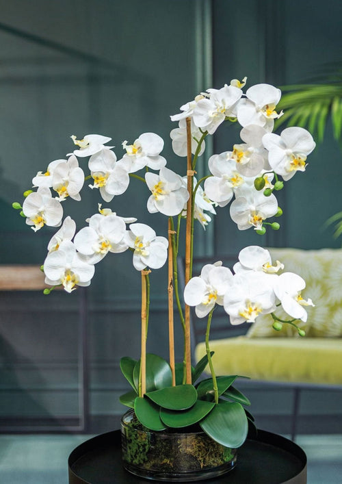 Flourify - Kunstbloem - Orchidee - 50 cm - vtwonen shop
