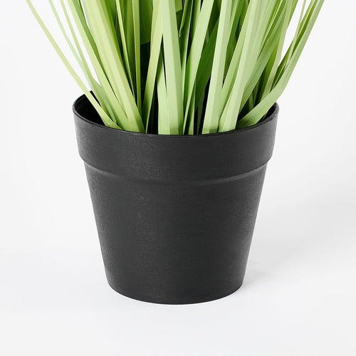Mica Decorations Dogtail Gras Kunstplant - H53 x Ø30 cm - Groen