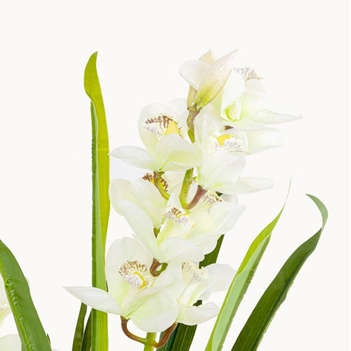 Kare Design Kunstplanten orchidee 100cm