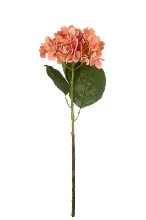 J-Line bloem Hydrangea - textiel - koraal - 12 stuks - vtwonen shop